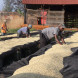Gardelli Specialty Coffees Kenya Kamwangi AA 250g