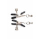 Master Series Titty Taunter Nipple Clamps with Weighted Bead