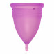 Dalia Cup Purple