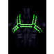 Ouch! Glow in the Dark Buckle Bulldog Harness